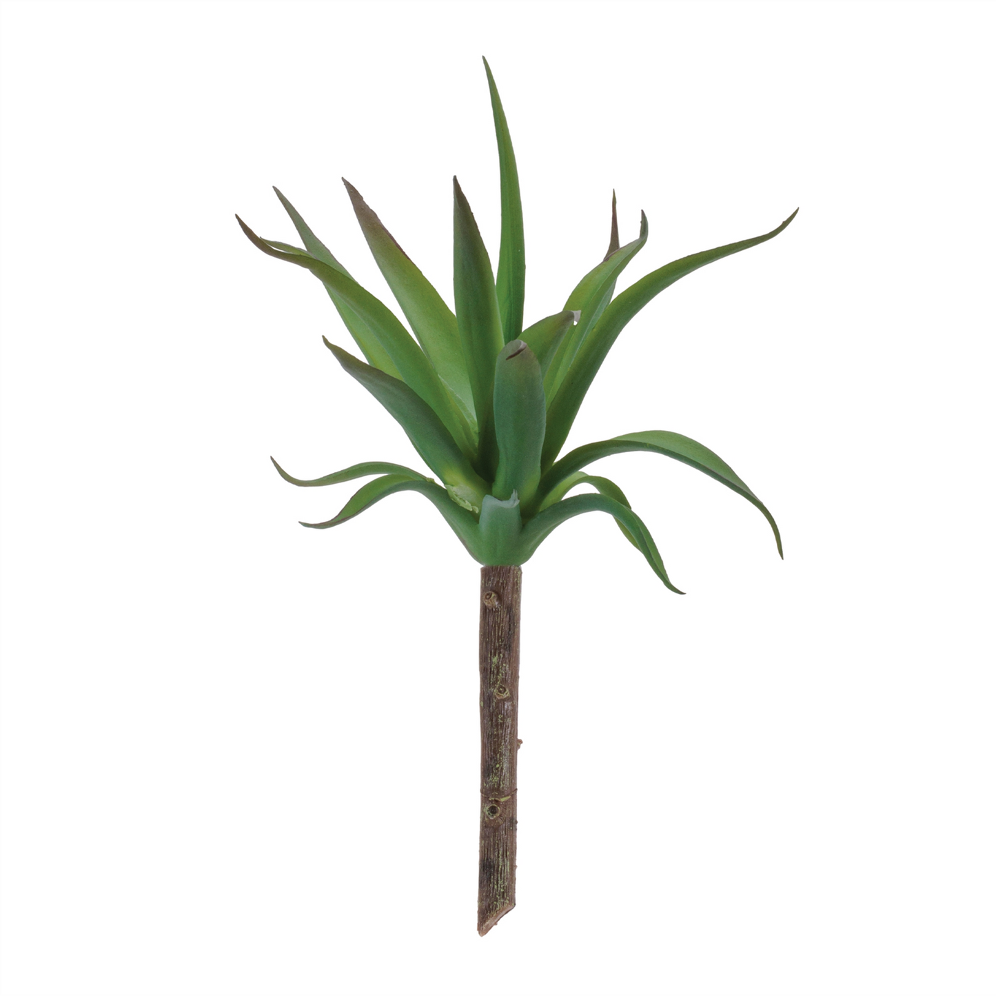 Succulent Plant Pick (Set of 6)