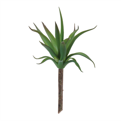 Succulent Plant Pick (Set of 6)