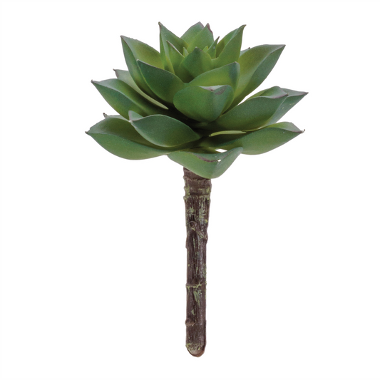 Succulent Plant Pick (Set of 12)