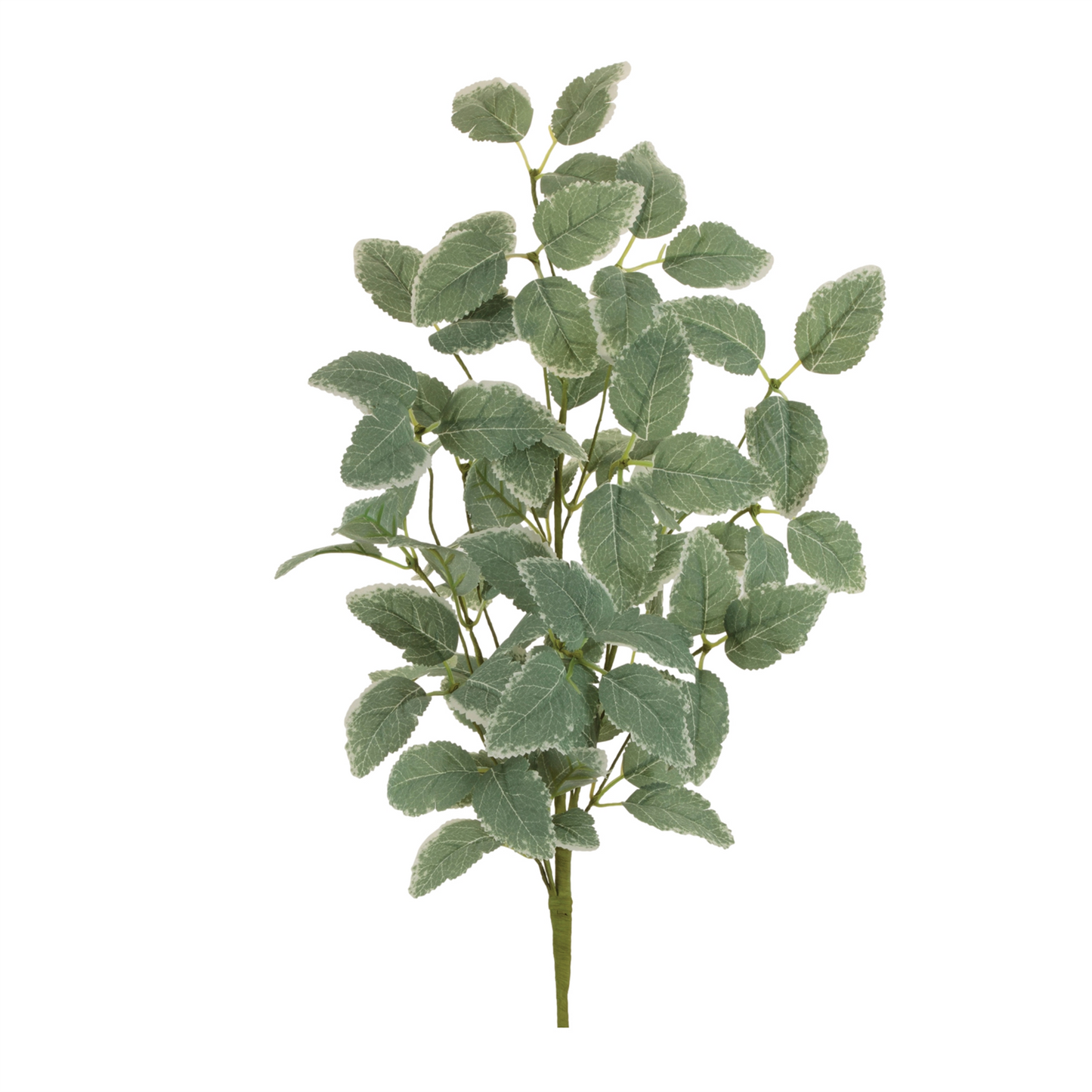 Variegated Foliage Spray (Set of 2)