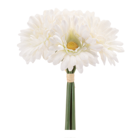 Gerbera Daisy Floral Bundle (Set of 6)