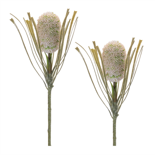 Protea Floral Stem (Set of 2)