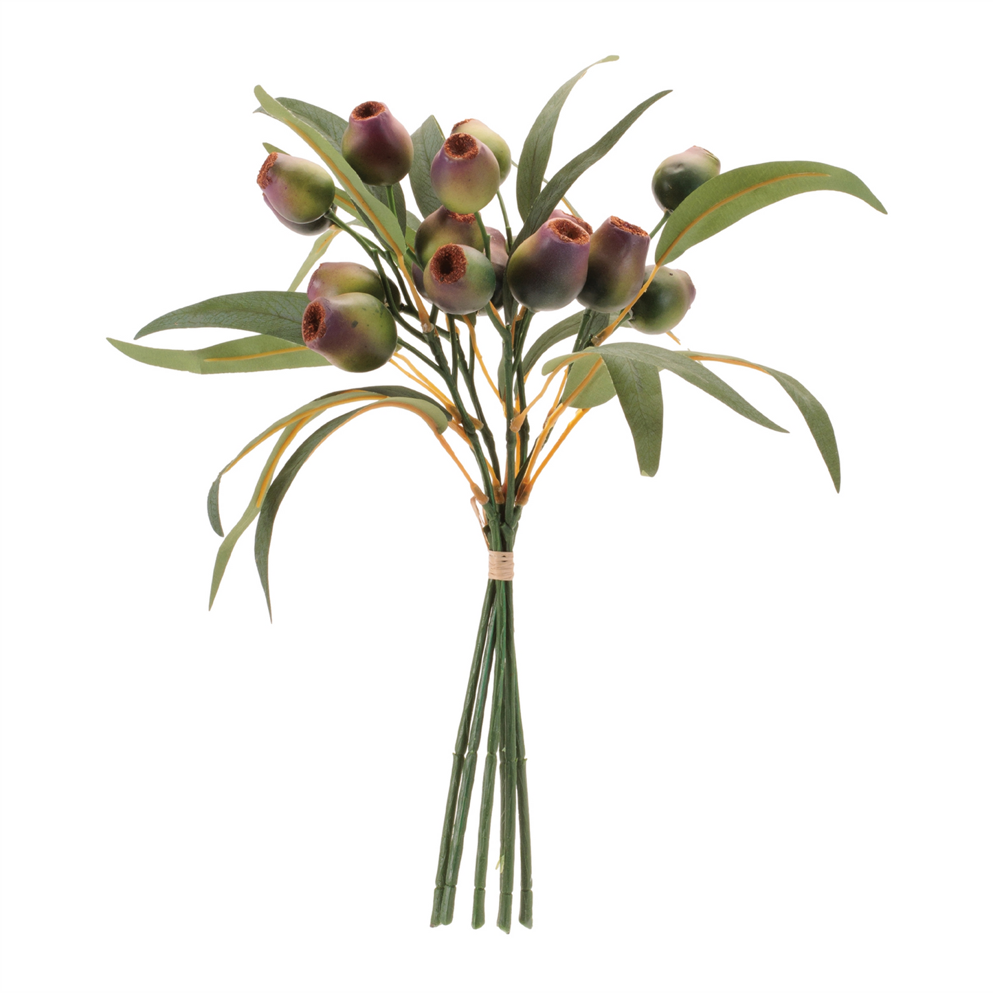 Pod Foliage Bundle (Set of 6)