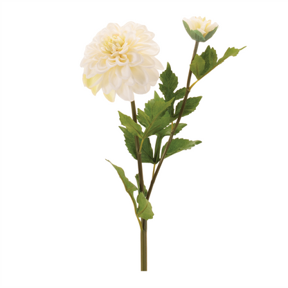 Dahlia Flower Stem (Set of 6)