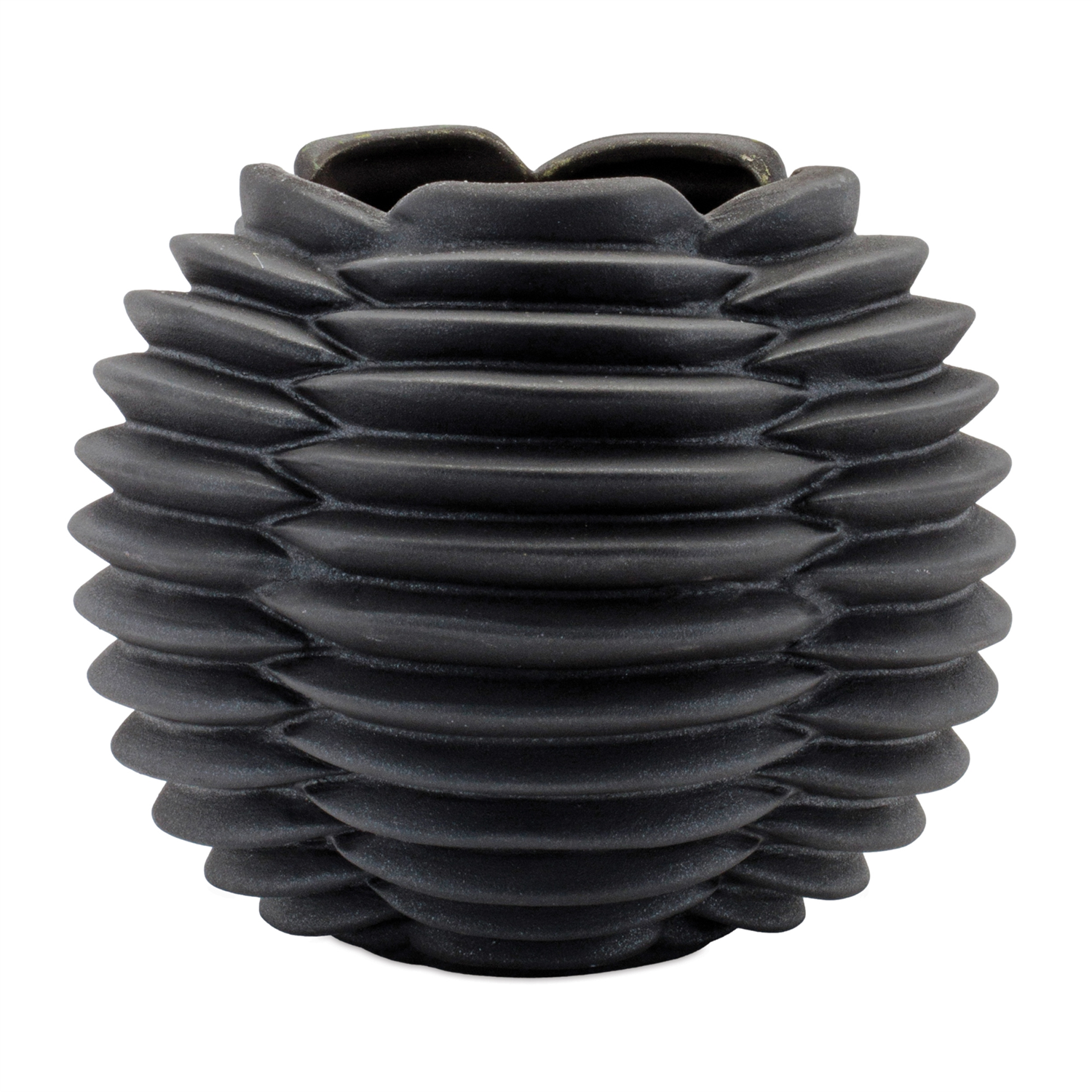 Ribbed Container – Down to Earth LLC