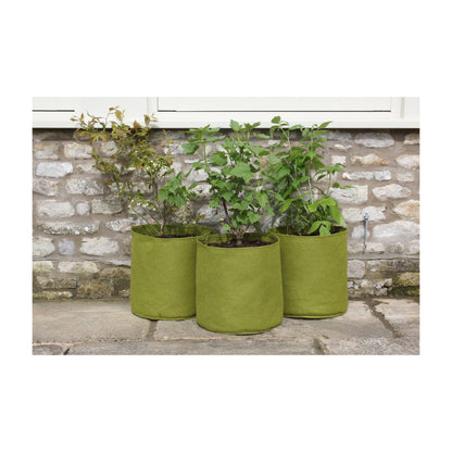 5.3 Gal Vigoroot Pots 3pk