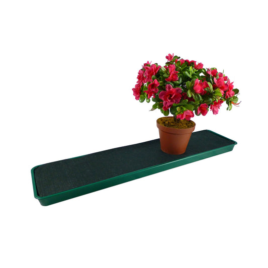 Green Windowsill Tray