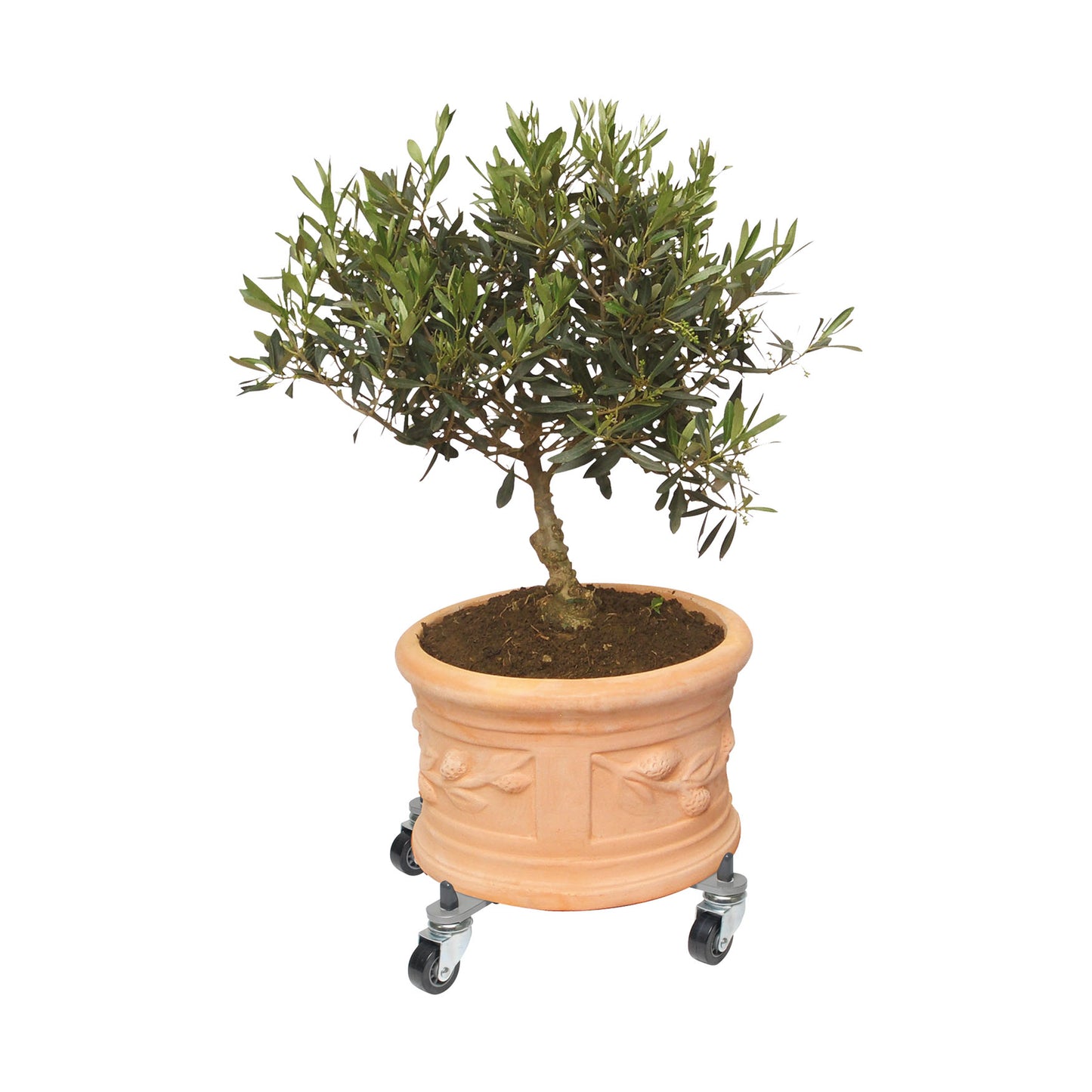 11" to 16.1" Adjustable Metal Plant Caddy