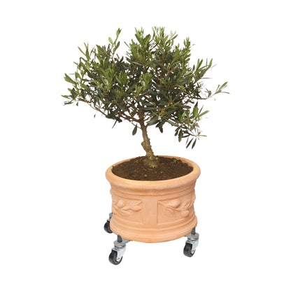11" to 16.1" Adjustable Metal Plant Caddy