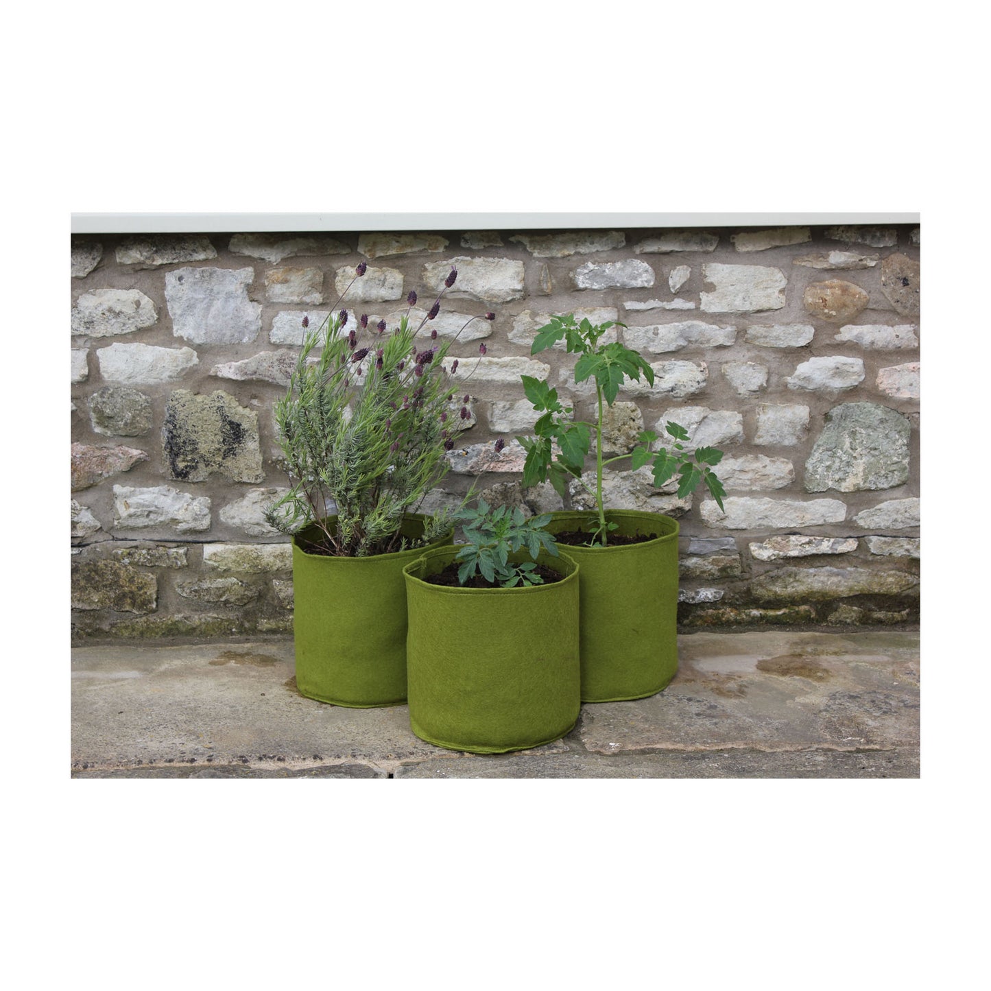 2.6 Gal Vigoroot Pots 3pk