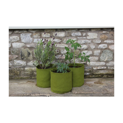 2.6 Gal Vigoroot Pots 3pk