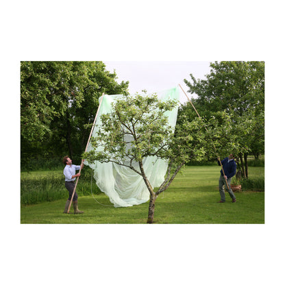9.8' x 9.8' Fruit Tree Cover