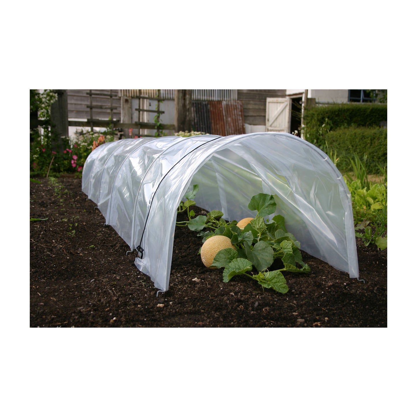 Giant Easy Poly Tunnel