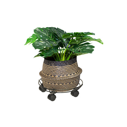 11.8" Black Round Wire Plant Caddy