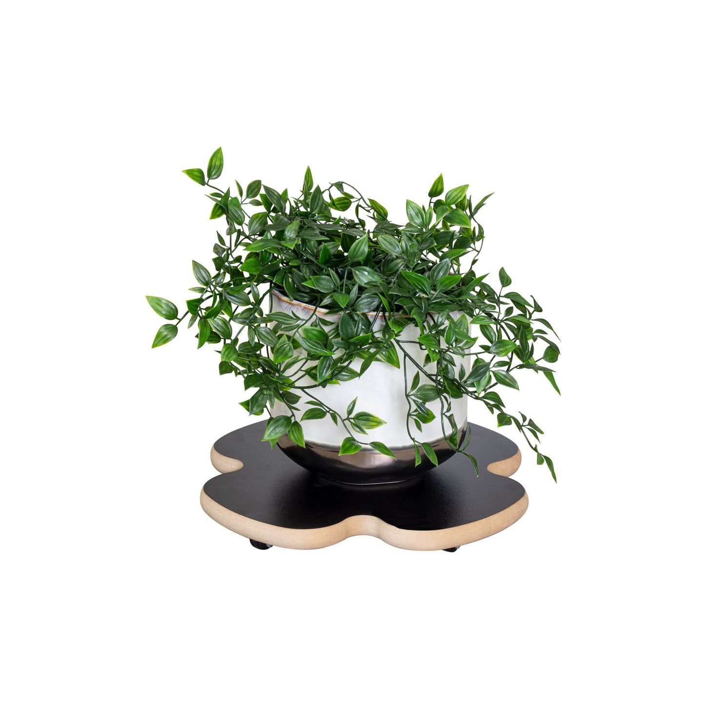 13" Black Clover Decor Plant Caddy