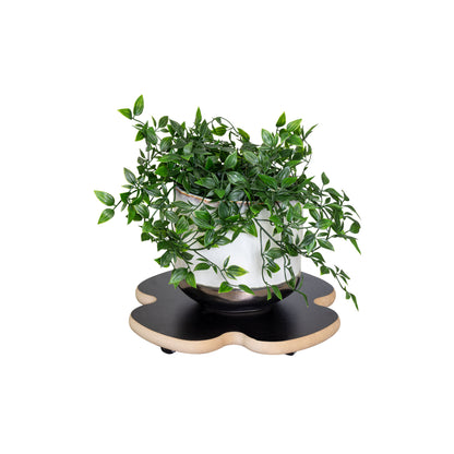 13" Black Clover Decor Plant Caddy
