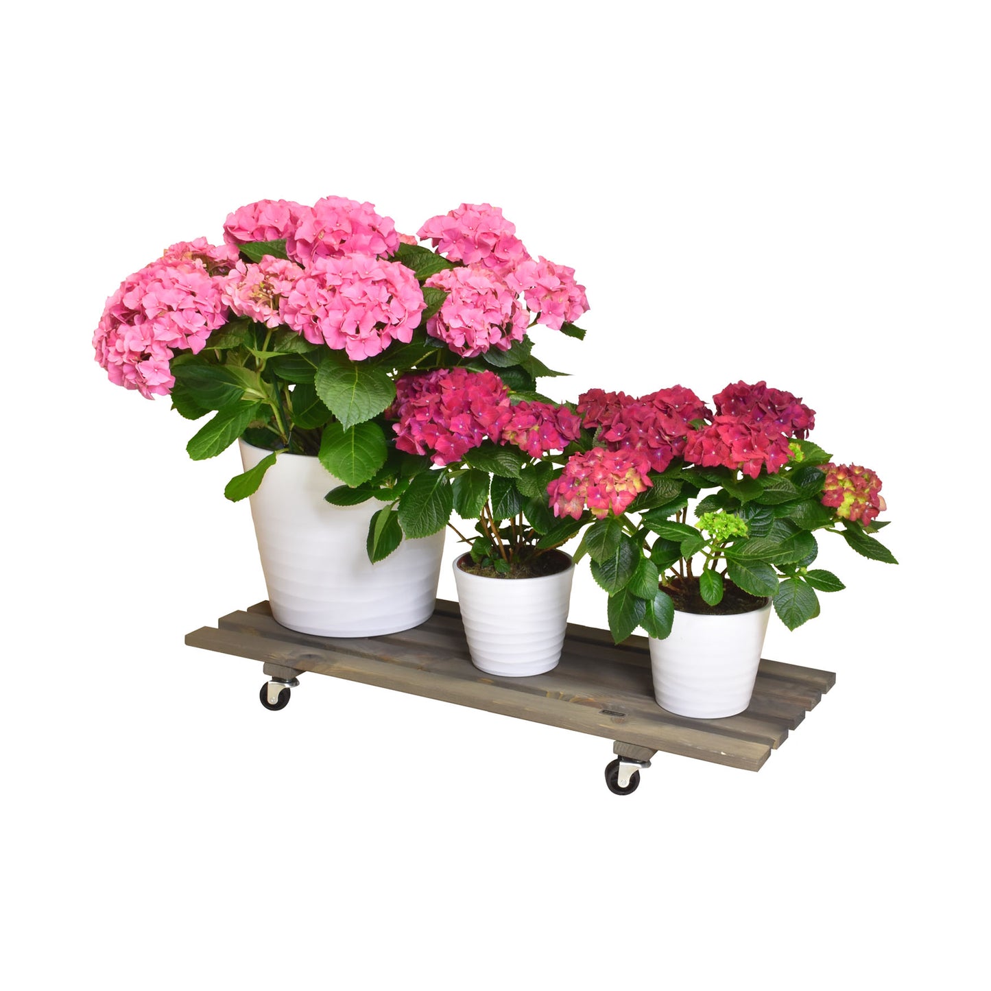 11.5" x 31" Gray Rectangle Wooden Plant Caddy