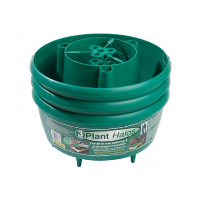 Green Plant Halos 3pk