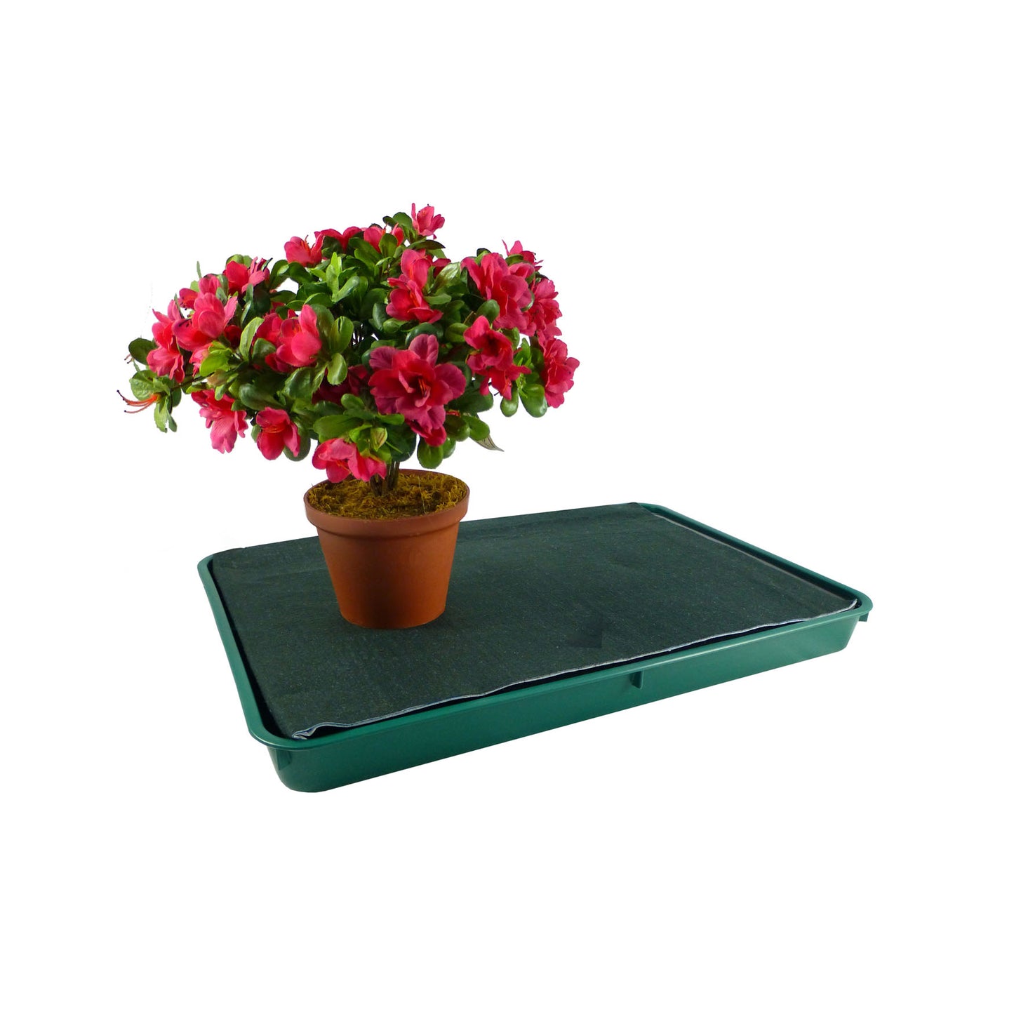 Large Green Self-Watering Tray