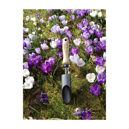 DeWit Planter - Bulb