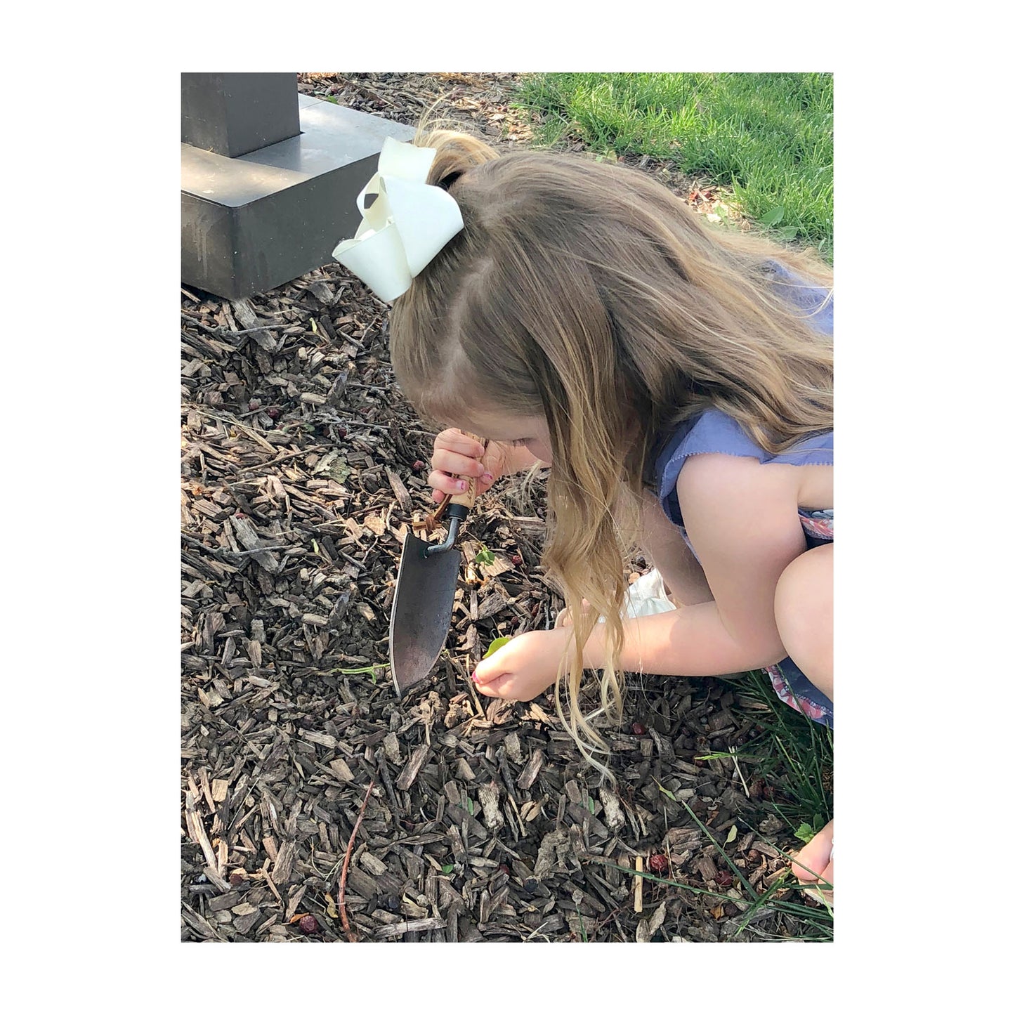 DeWit Junior Trowel - Planting