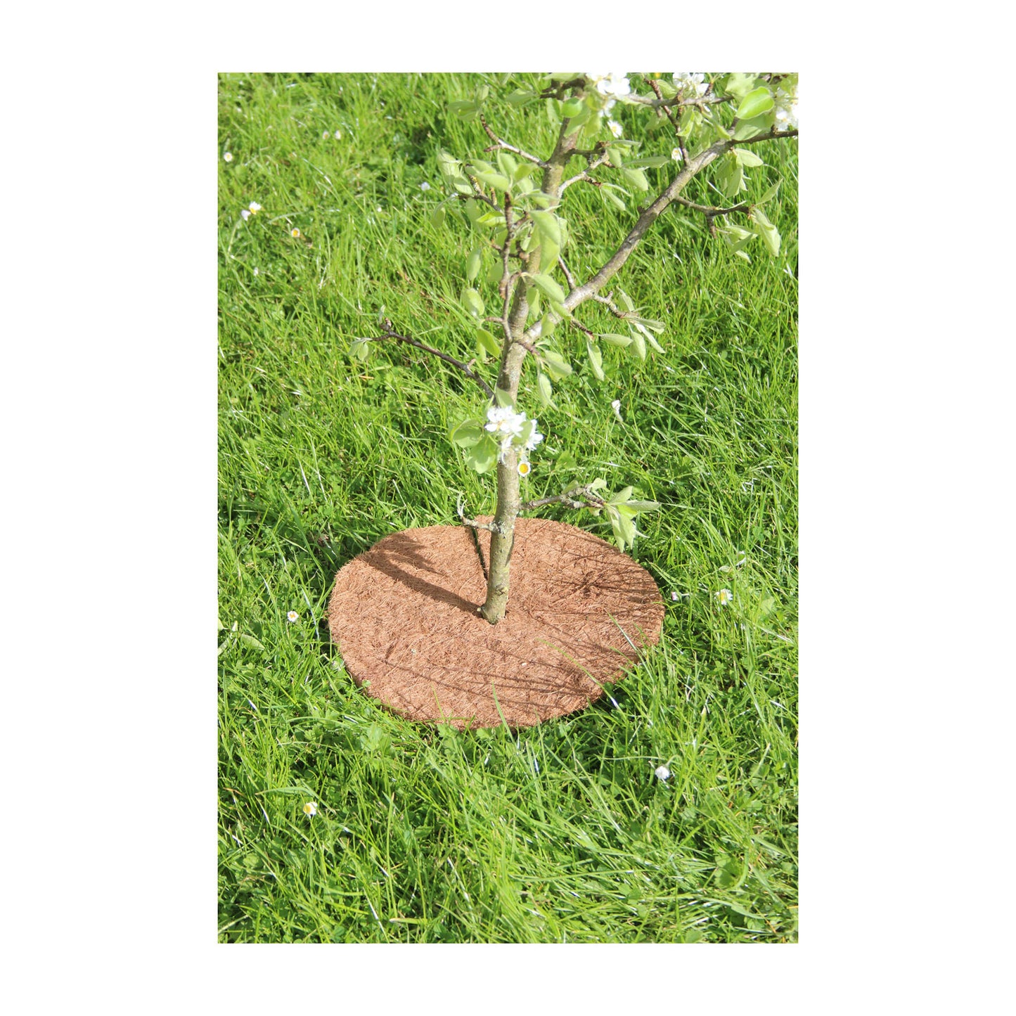 12" Round Coco Tree Mat 3pk