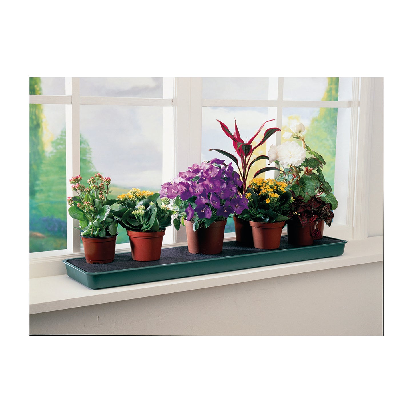 Green Windowsill Tray