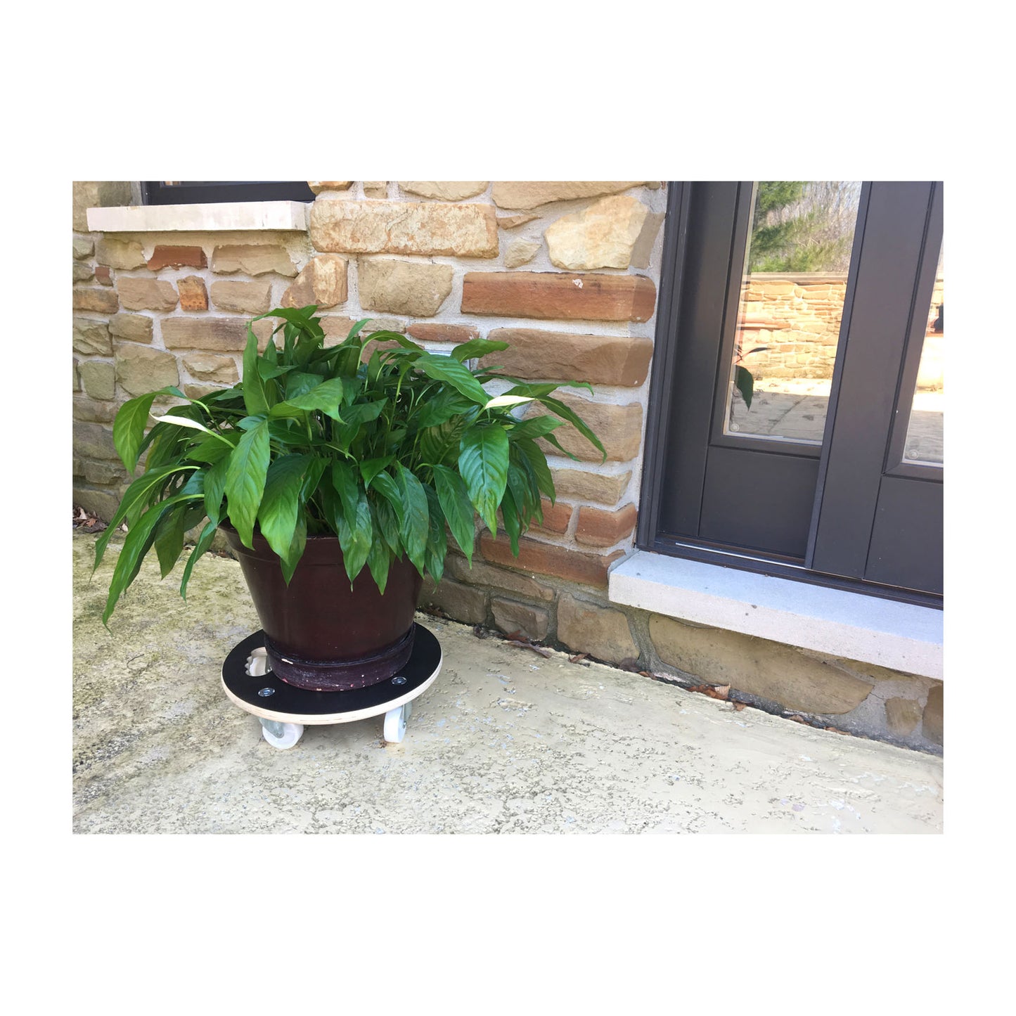 15" Black Round MaxiGrip Plant Caddy