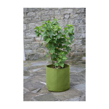 5.3 Gal Vigoroot Pots 3pk