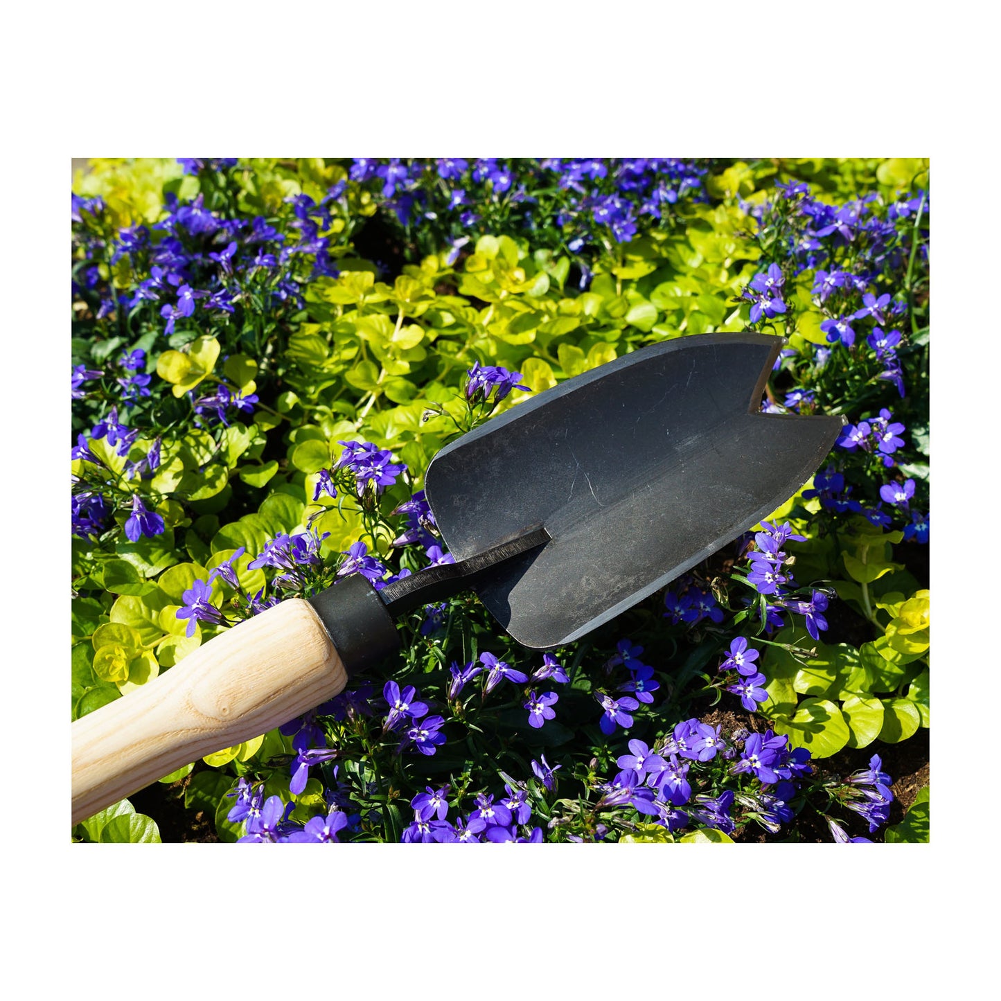 DeWit Trowel - 2 Point Cutting Edge Large Welldone