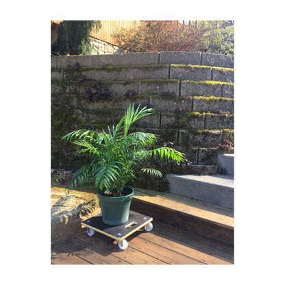 15" Black Square MaxiGrip Plant Caddy