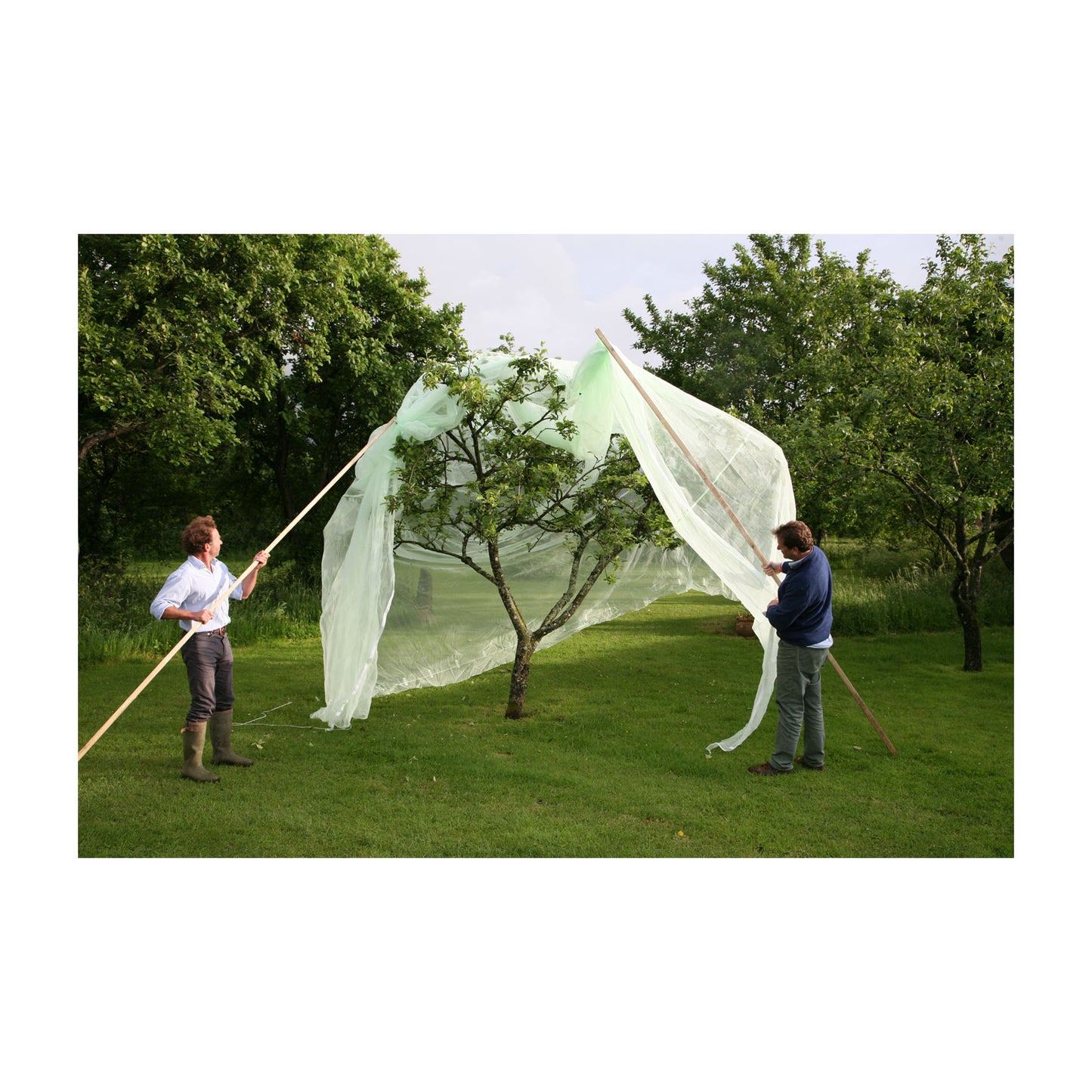 9.8' x 9.8' Fruit Tree Cover