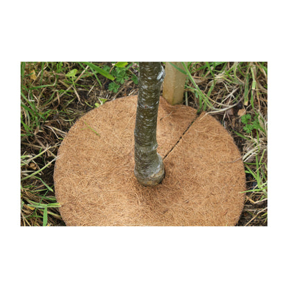 8" Round Coco Tree Mat 3pk