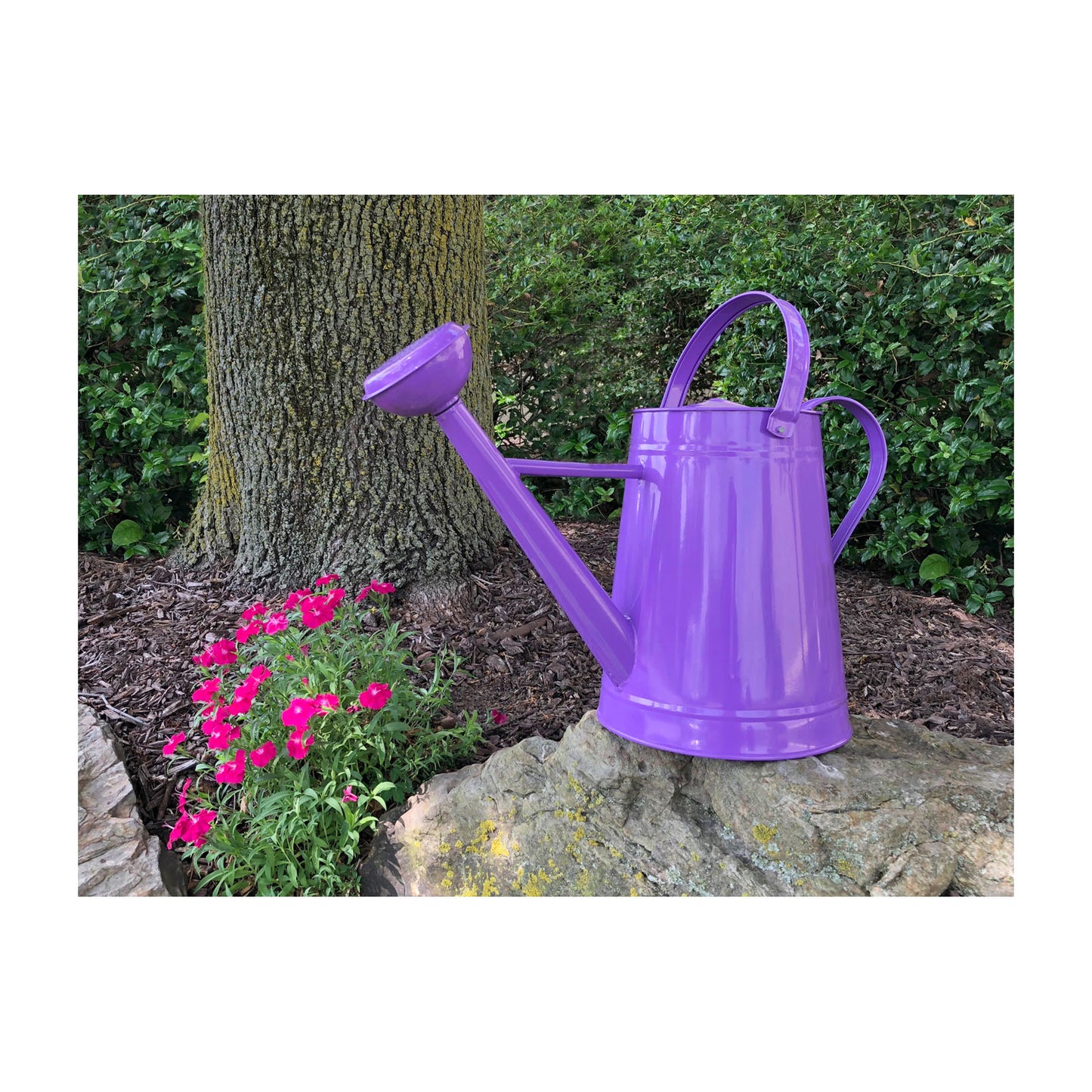 1.2 gal Violet Metal Watering Can