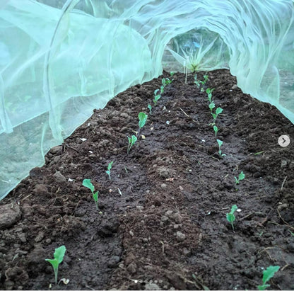 Giant Easy Micromesh Tunnel