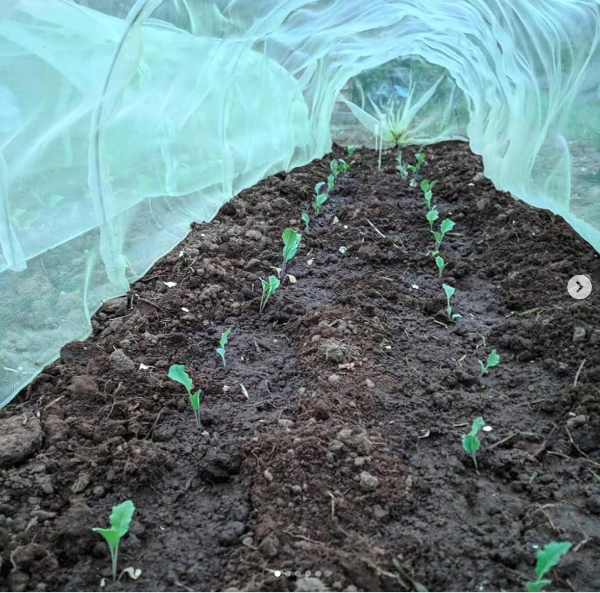 Easy Micromesh Tunnel