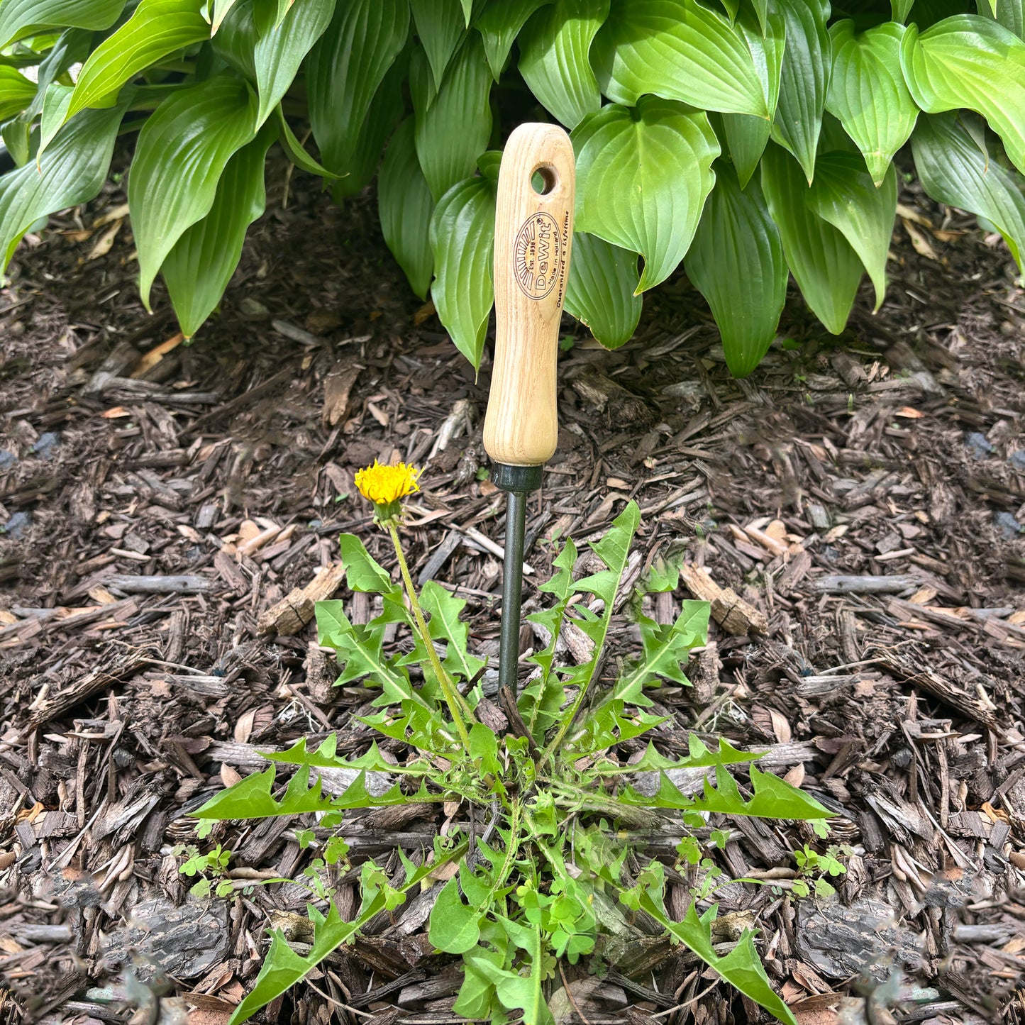 DeWit Set - Weeding