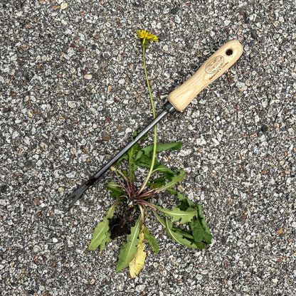 DeWit Weeder - Dandelion