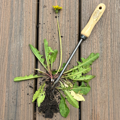 DeWit Set - Weeding