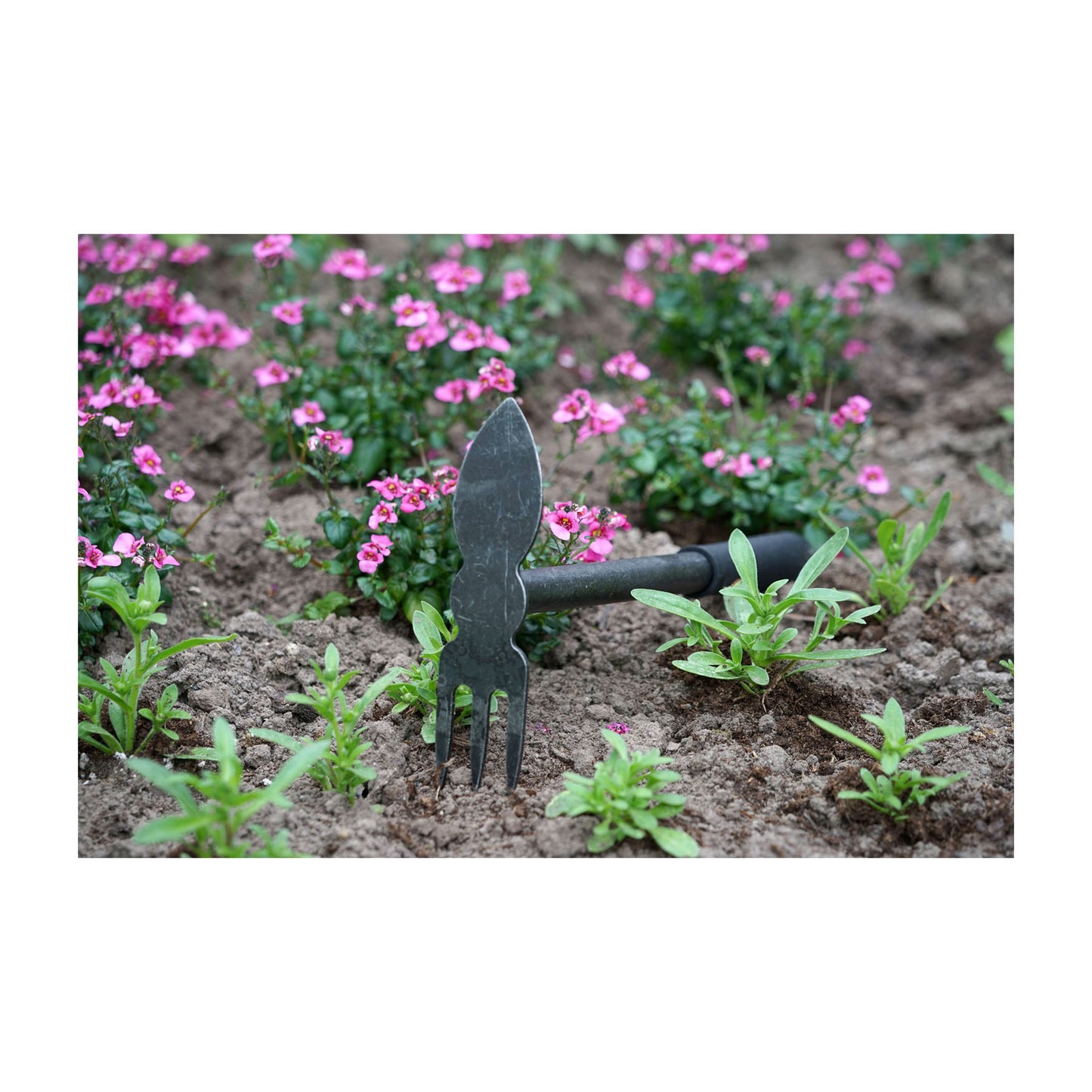 DeWit Comby Hoe - 3 Tine Cultivator / Heart Shaped