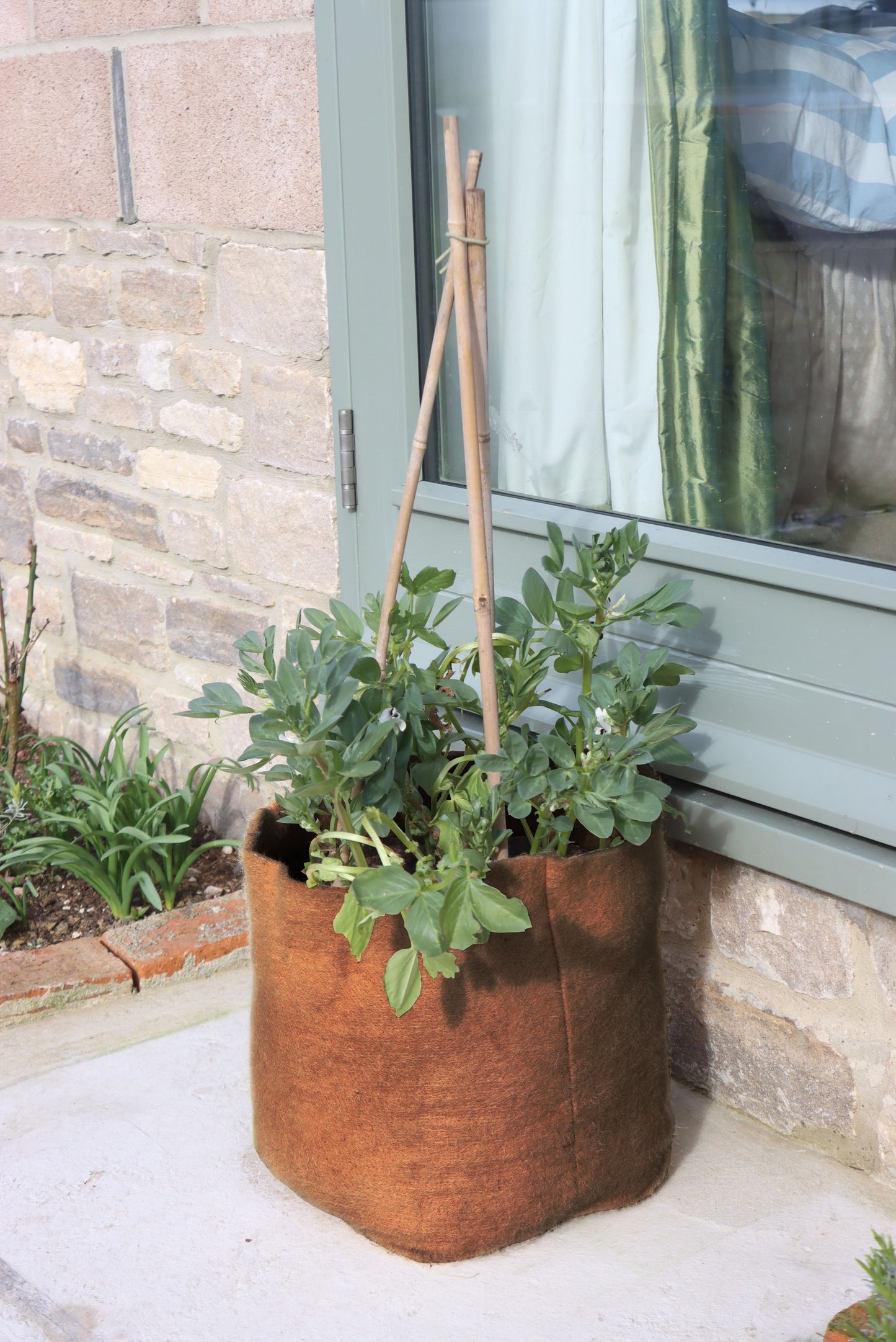 10.5 gal. 40L Hemp Fiber Planter