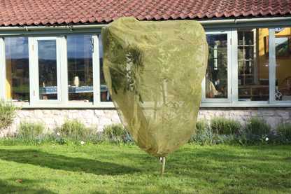 3.3' Fruit Tree Cover