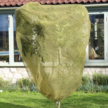 3.3' Fruit Tree Cover