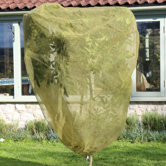 3.3' Fruit Tree Cover