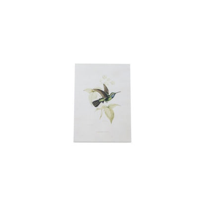 Tabletop Encyclopedia Hummingbird Print (Set of 4)