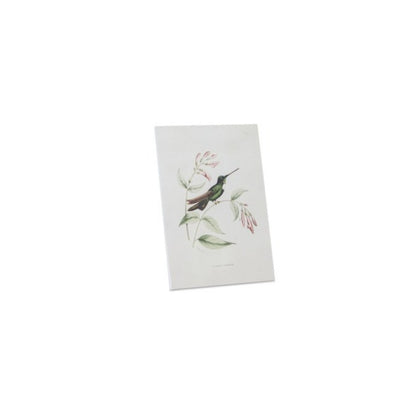 Tabletop Encyclopedia Hummingbird Print (Set of 4)