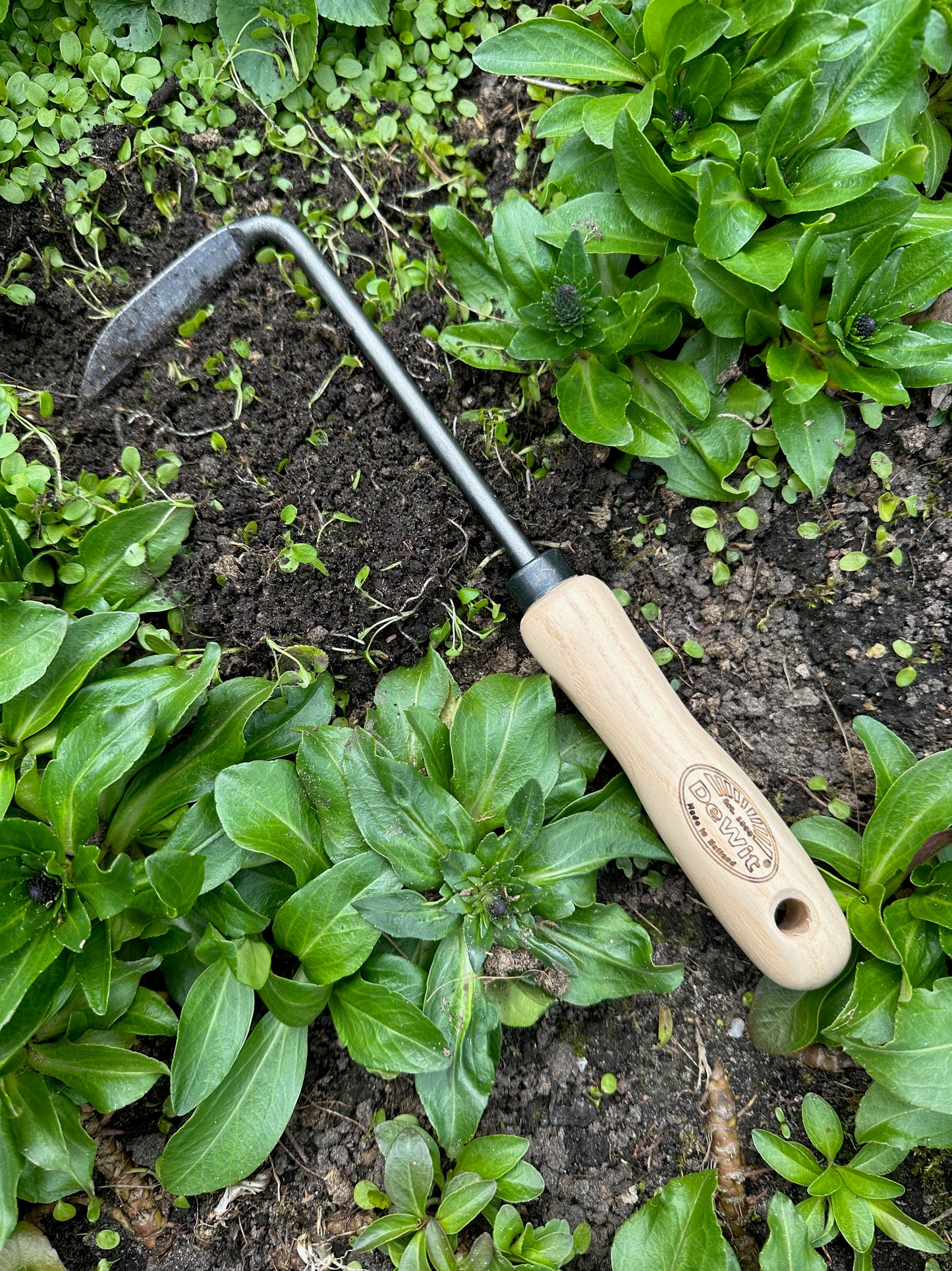 DeWit Set - Weeding