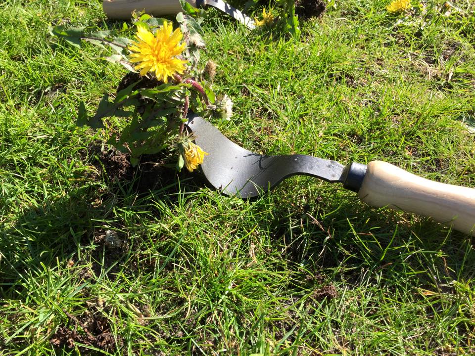 DeWit Set - Weeding