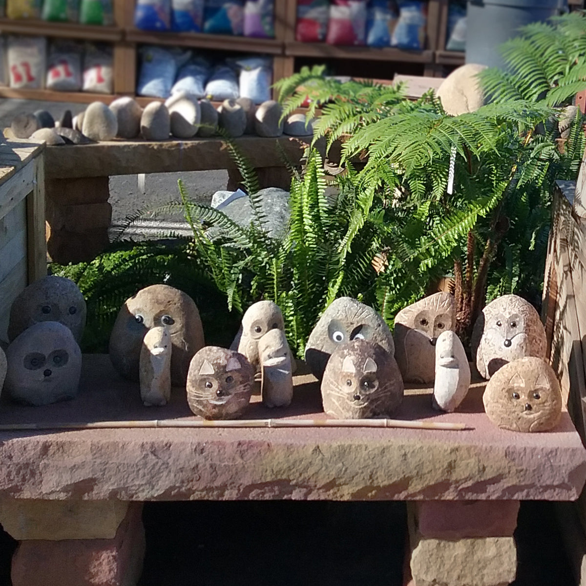8" Boulder Cat
