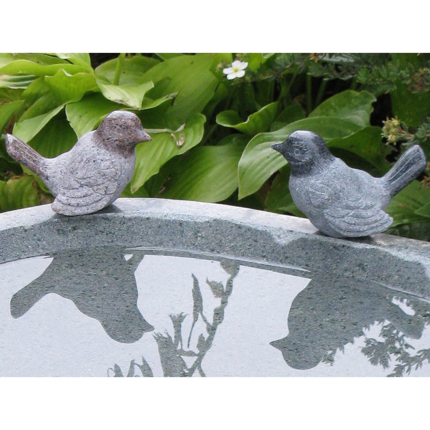 5" Granite Bird - Assorted Colors